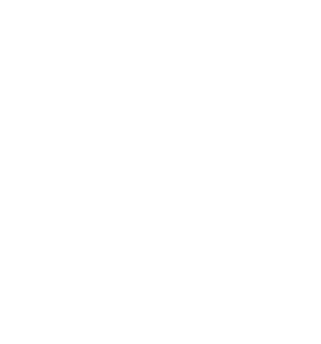 Bhoomi Global Ventures